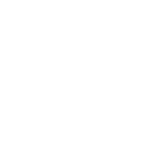Bowo • 1check logo
