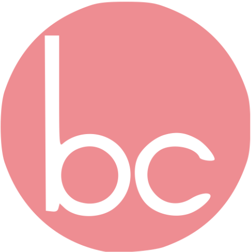 Bowo • Domotique Partenaires Baudin Icône