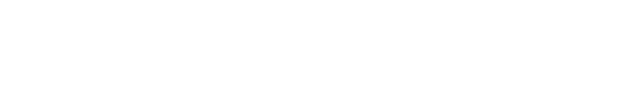 Bowo • Logo Guest Mobility