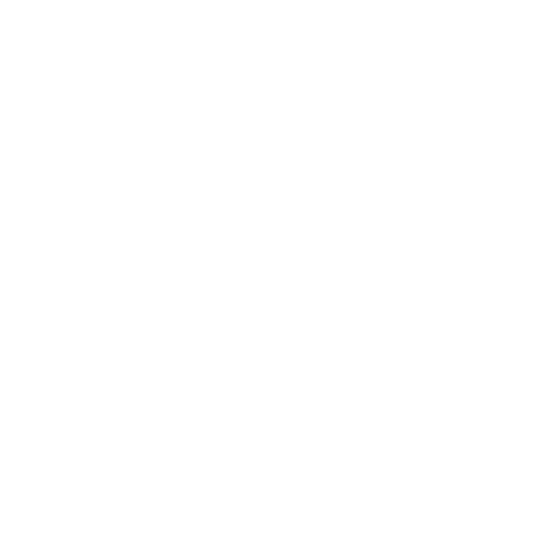 Bowo • Paris society logo