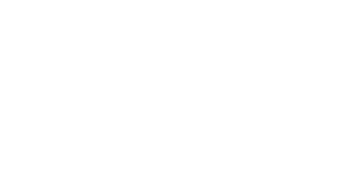 Bowo • Best western