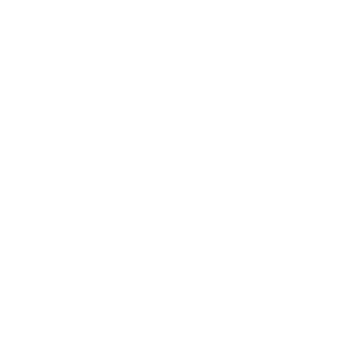 Bowo • Paris society logo