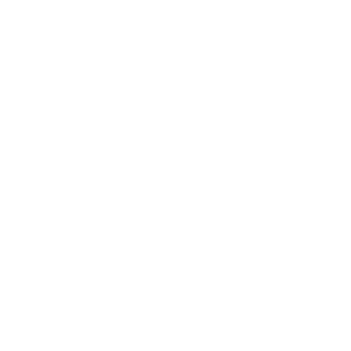 Bowo • Adyen logo