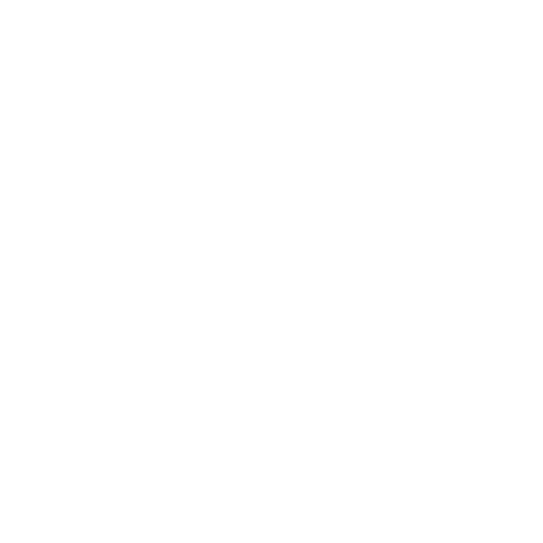 Bowo • Aeroport nice