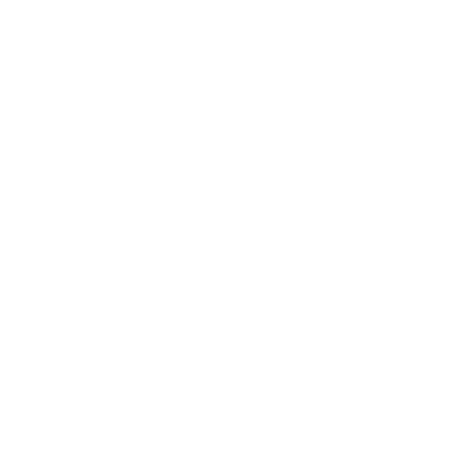 Bowo • Avantio logo