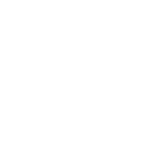 Bowo • Chromecast logo