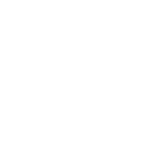 Bowo • Eelway logo