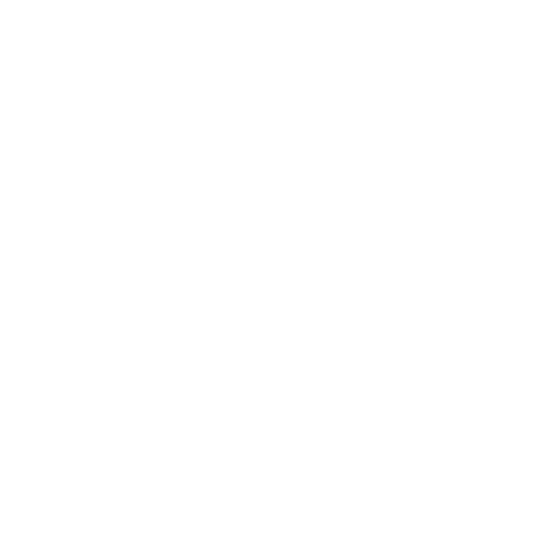 Bowo • Hostpms logo