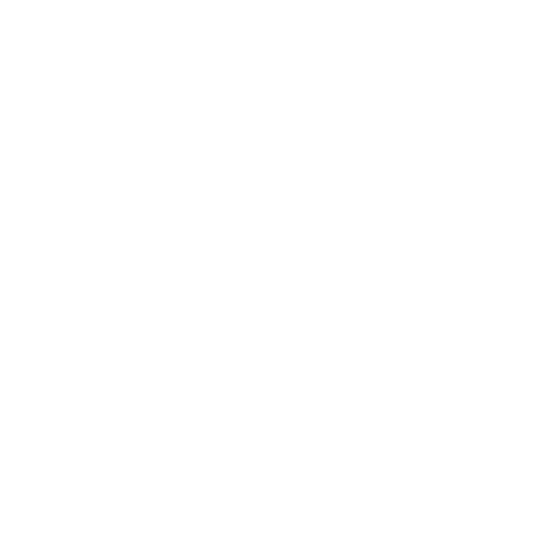 Bowo • Le tigre