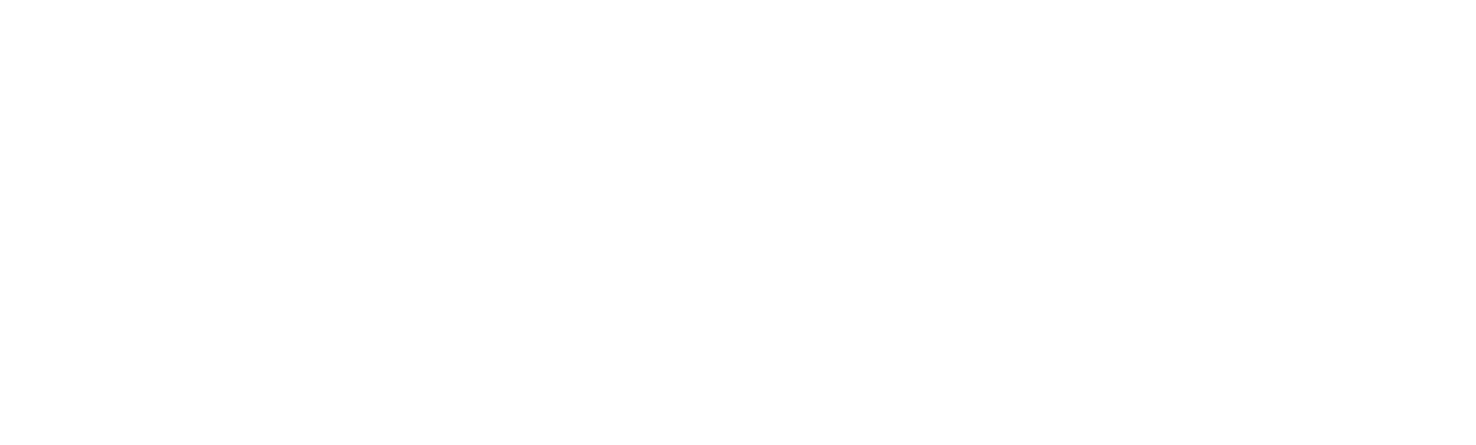 Bowo • Lightspeed logo blanc
