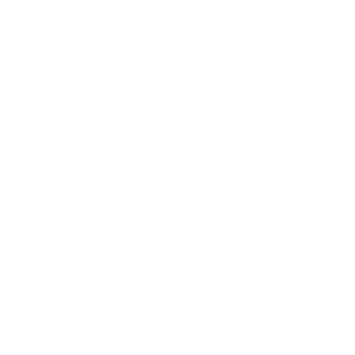 Bowo • Medialog logo
