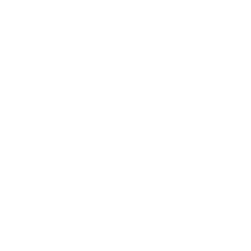 Bowo • Micros logo