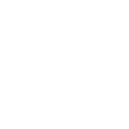 Bowo • Mister booking logo