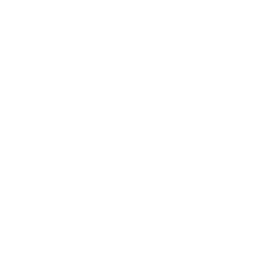 Bowo • Opera logo