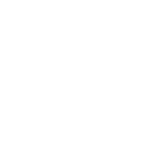 Bowo • Protel logo