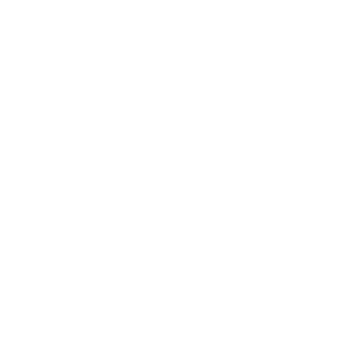 Bowo • Sfr logo