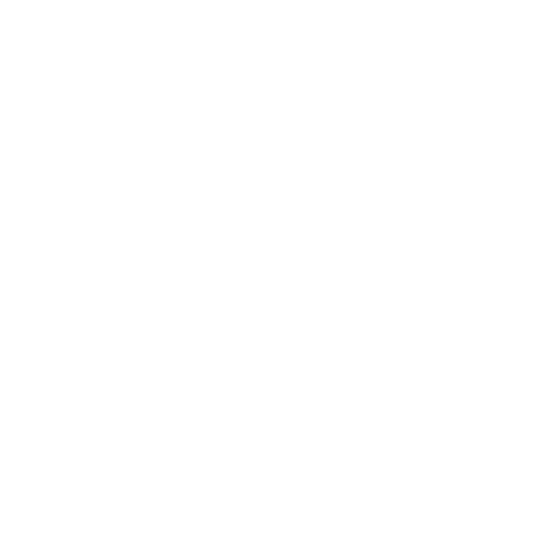Bowo • Stripe logo